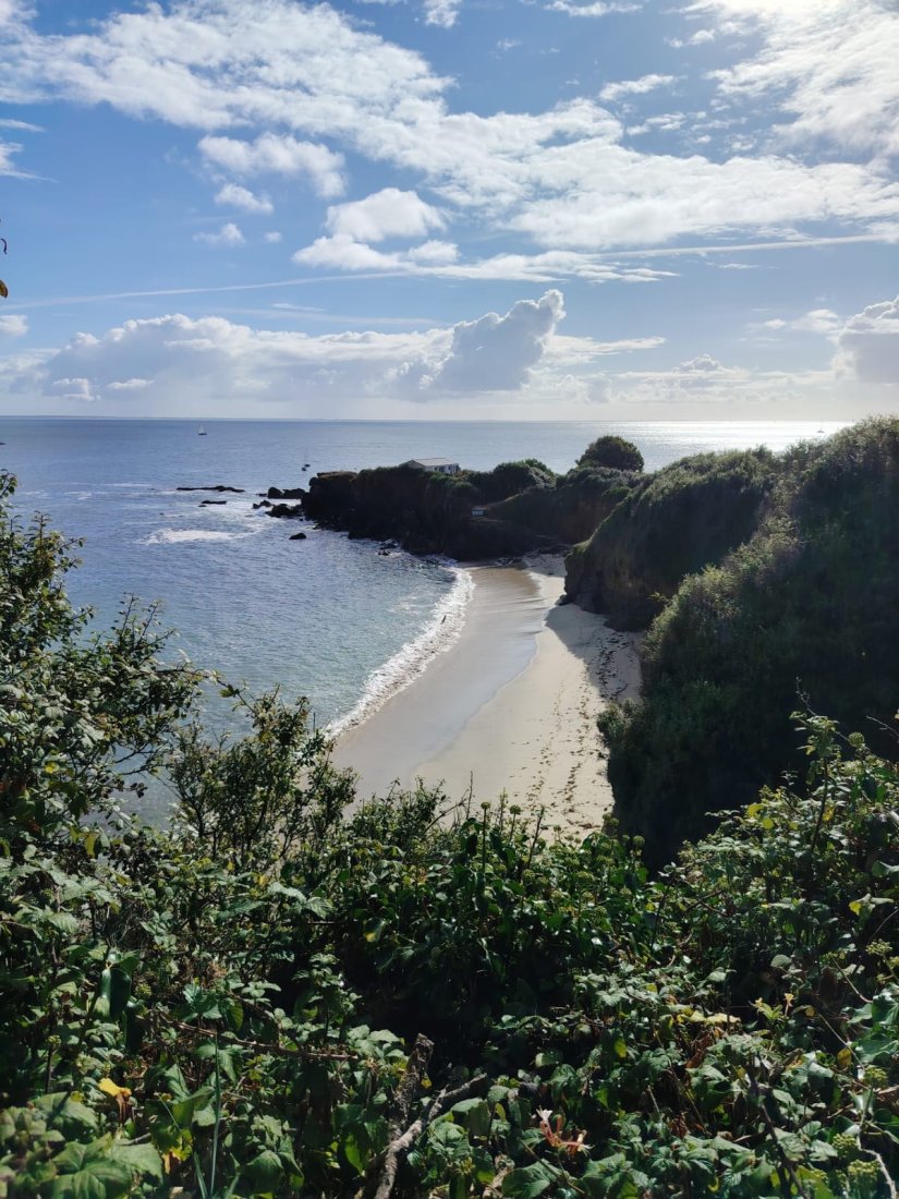 IMG-20250828-WA0041