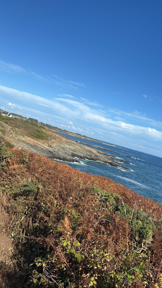 IMG-20260827-WA0018